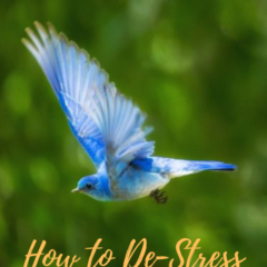 How-to-De-Stress-Your-Distress